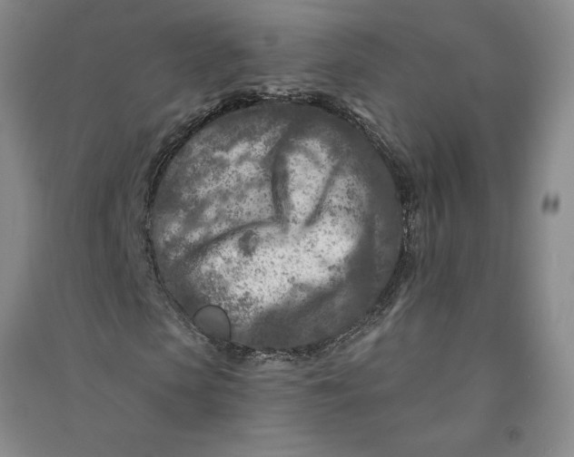 X0000090870913200708171622