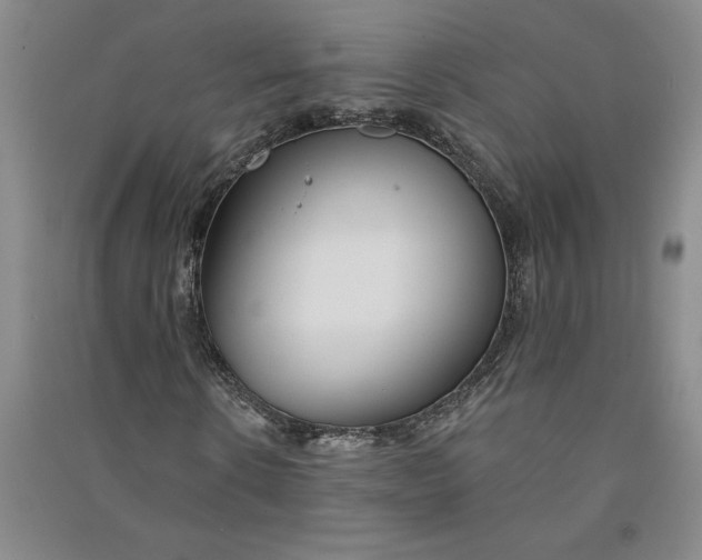 X0000090870914200708171622