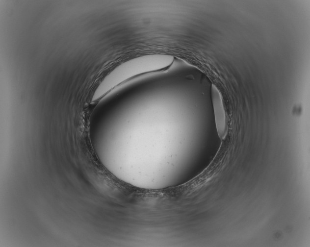 X0000090870916200708171622