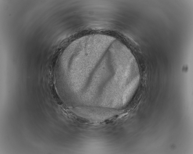 X0000090870917200708171622