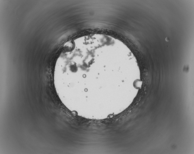 X0000090870918200708171622