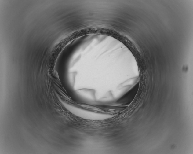 X0000090870919200708171622