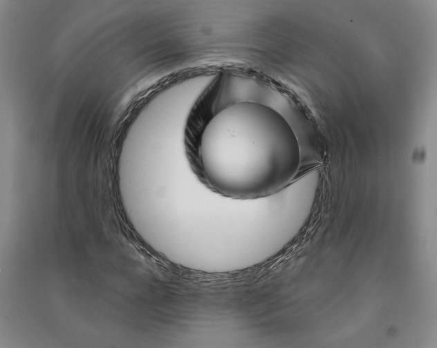 X0000090870920200708171622