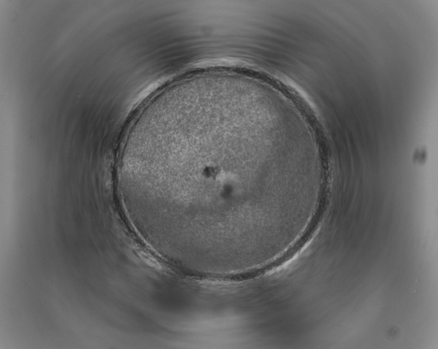 X0000090870921200708171622