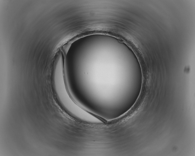 X0000090870922200708171622