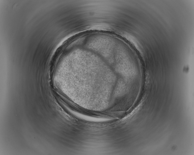 X0000090870923200708171622