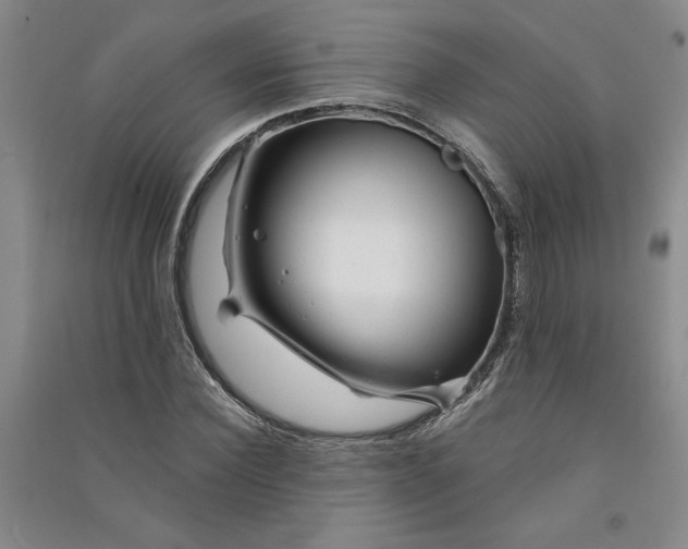 X0000090870924200708171622