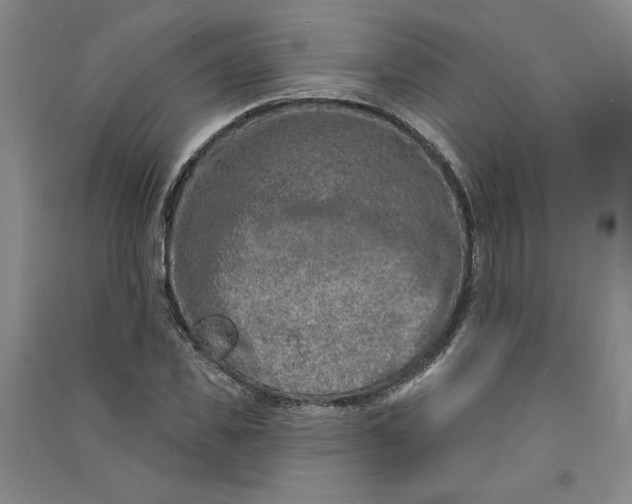 X0000090870925200708171622