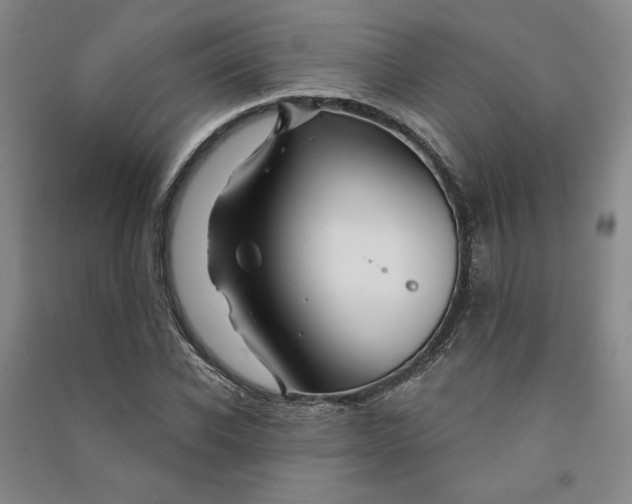 X0000090870926200708171622