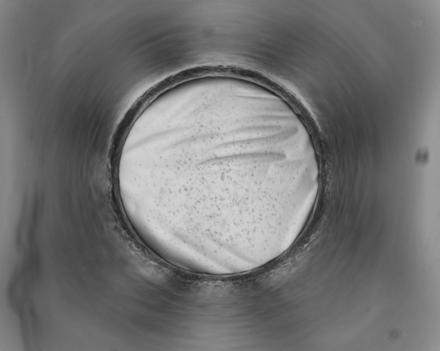 X0000090870927200708171622