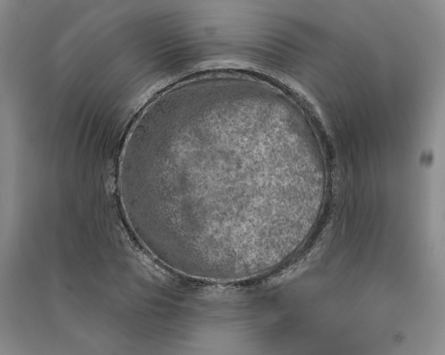 X0000090870929200708171622