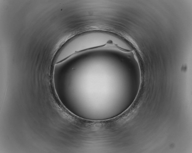 X0000090870930200708171622