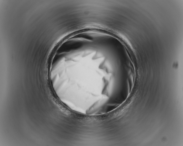 X0000090870931200708171622