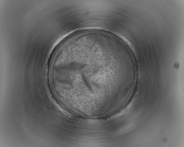 X0000090870933200708171622