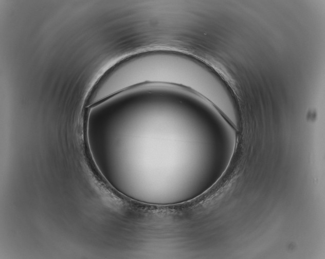 X0000090870934200708171622