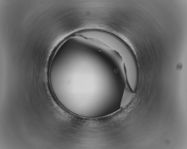 X0000090870935200708171622