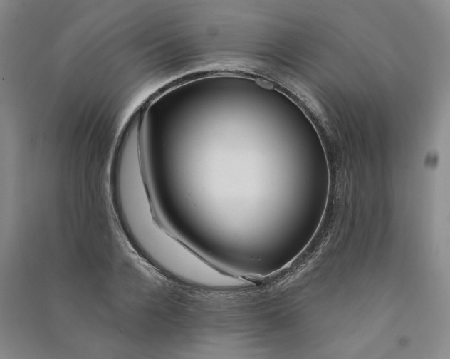 X0000090870936200708171622