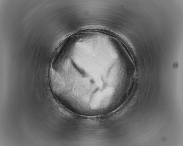 X0000090870937200708171622