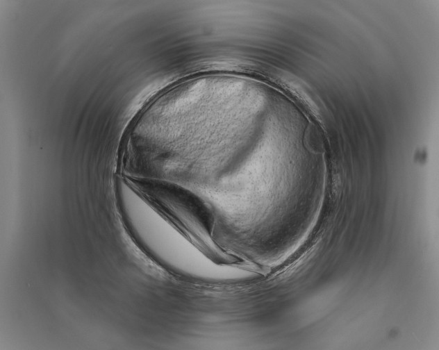 X0000090870938200708171622