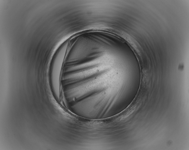 X0000090870939200708171622