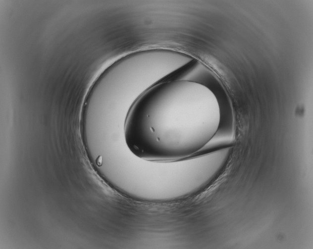 X0000090870940200708171622