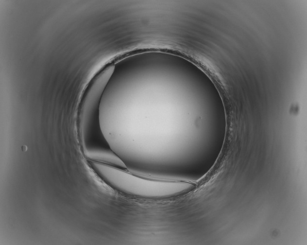 X0000090870942200708171622