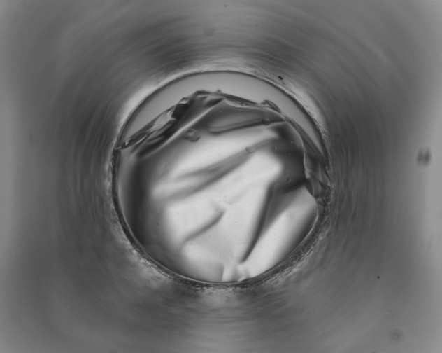 X0000090870944200708171622