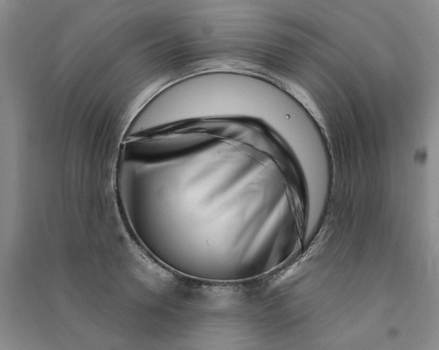 X0000090870946200708171622