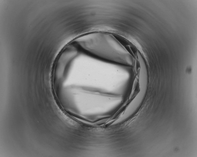 X0000090870947200708171622