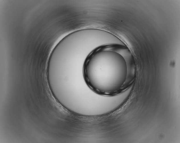 X0000090870948200708171622