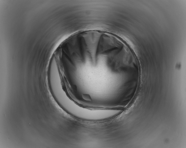 X0000090870949200708171622