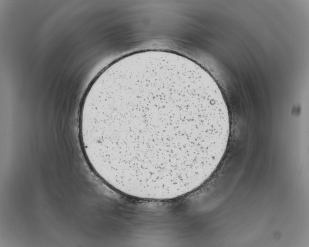 X0000090870950200708171622