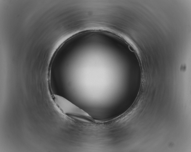 X0000090870951200708171622