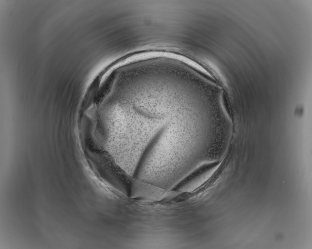 X0000090870952200708171623