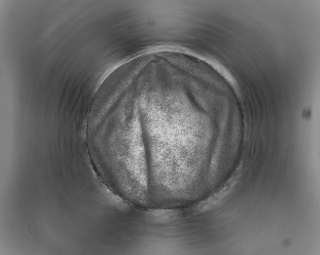 X0000090870953200708171623