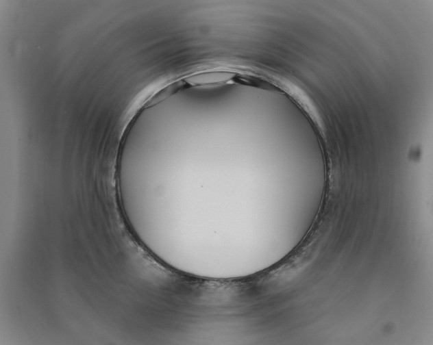 X0000090870954200708171623