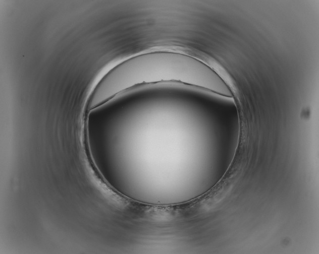 X0000090870955200708171623