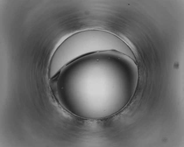 X0000090870956200708171623