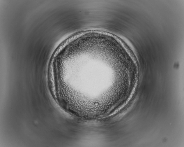 X0000090870957200708171623