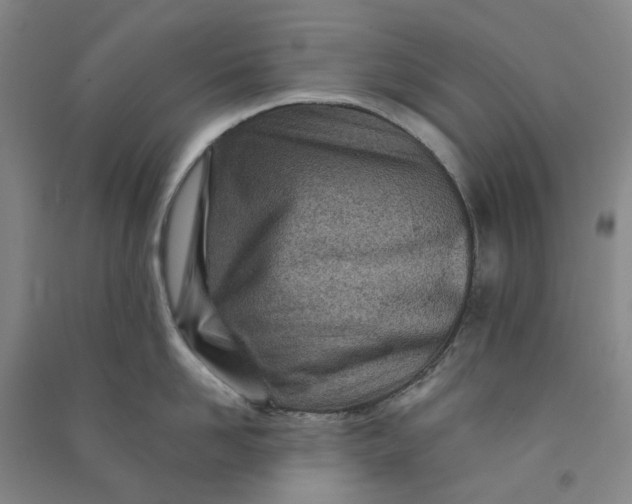 X0000090870958200708171623