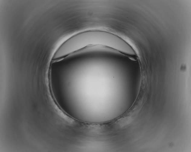 X0000090870959200708171623