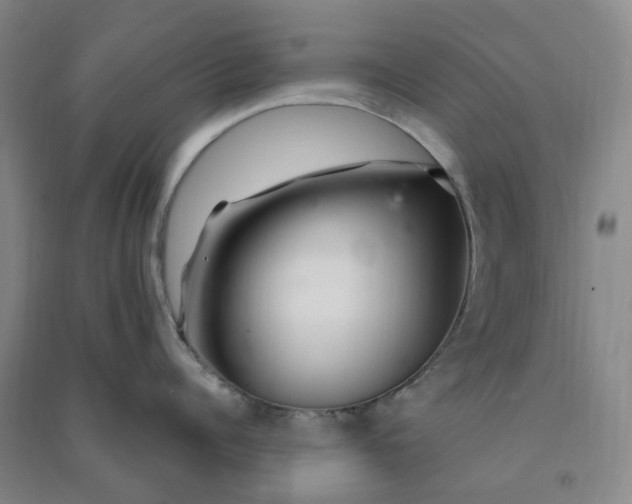 X0000090870960200708171623