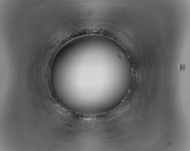 X0000090870961200708171622