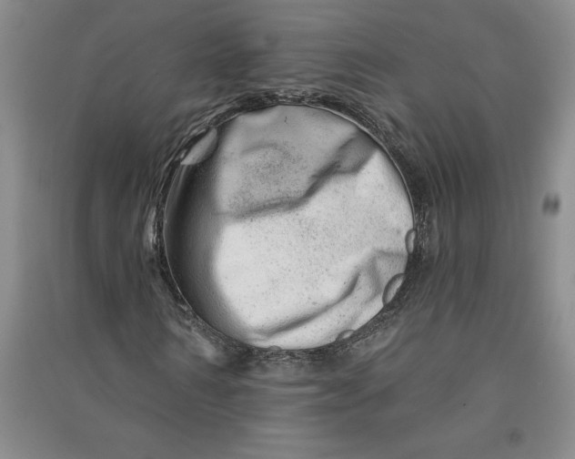 X0000090870962200708171622