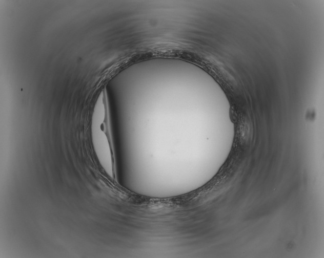 X0000090870964200708171622