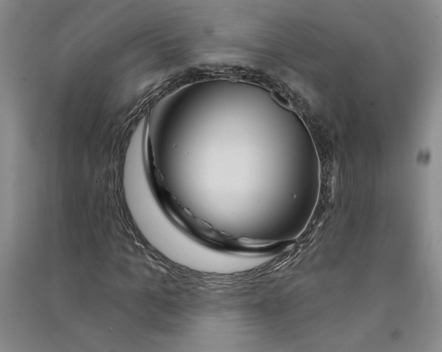 X0000090870965200708171622