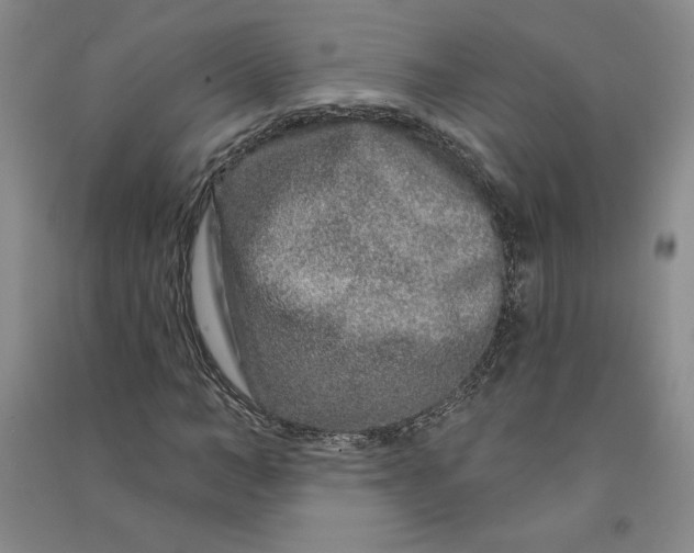 X0000090870966200708171622