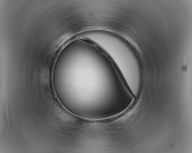 X0000090870969200708171622