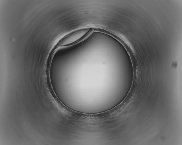 X0000090870972200708171622