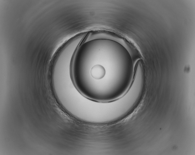 X0000090870973200708171622